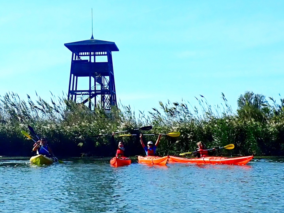 Grupo se divertindo  Grupo se divertindo