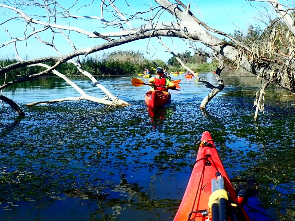 Kayaks en Tarragona
