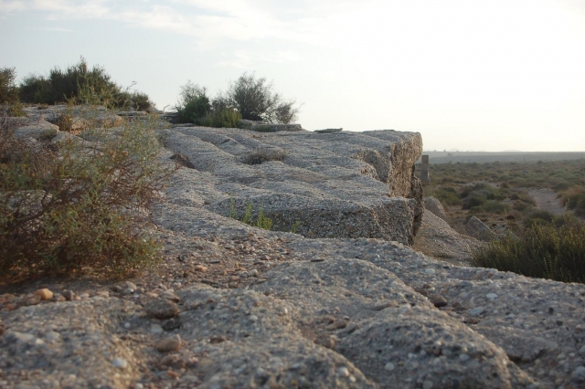Spiaggia fossile 