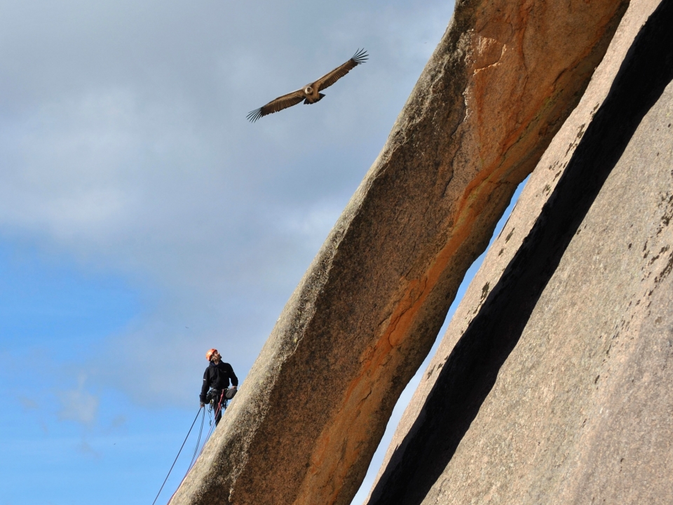 Fortgeschrittener Klettern im Sierra de Guadarrama 