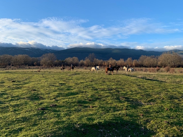  À cheval à travers la Sierra de Guadarrama 