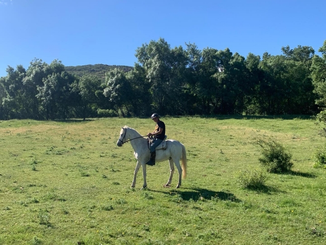  Randonnée équestre à travers Madrid 