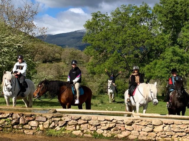  Arrêt avec les chevaux 