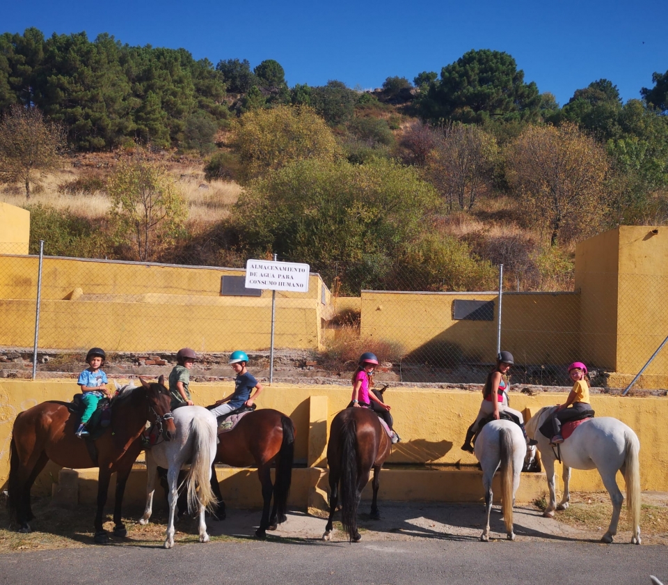 Durante la excursión ecuestre