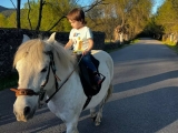 Pony ride along the Tiétar river + games, 1 hour