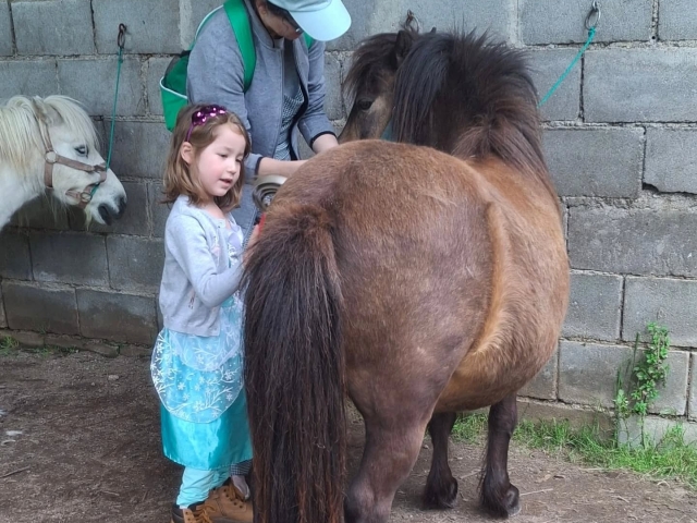 Cepillando a los ponis