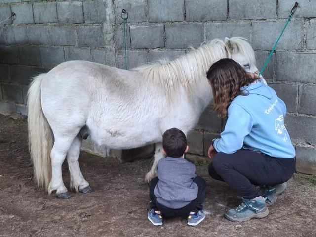 Conociendo a nuestros ponis