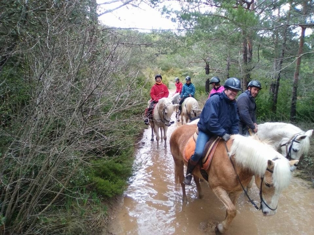 Horseback riding 