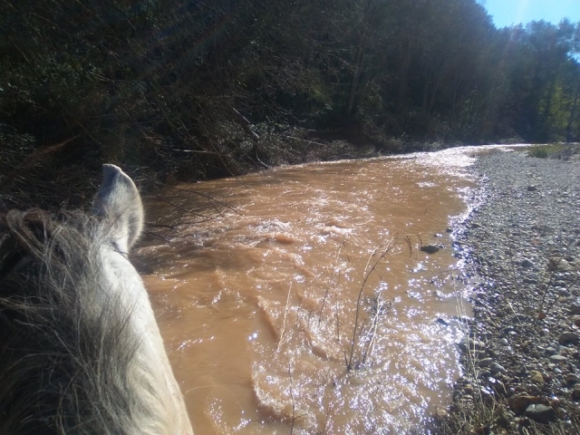  Taking a walk through the water