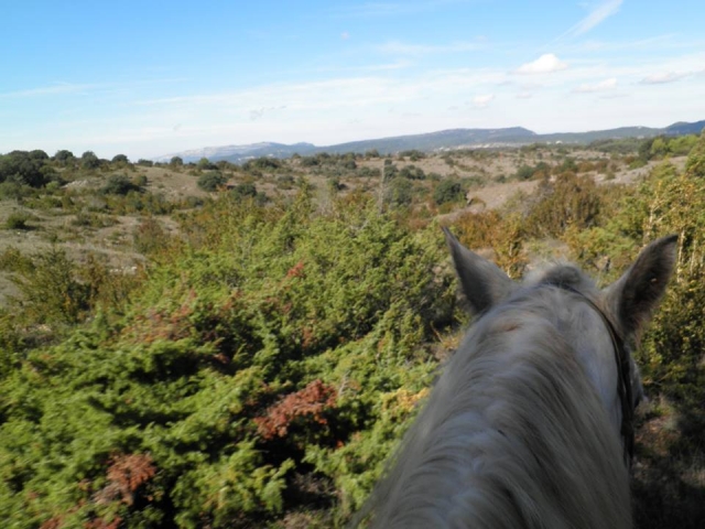  Beautiful landscape on horseback 