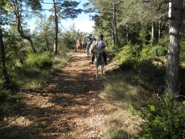  Full nature on horseback