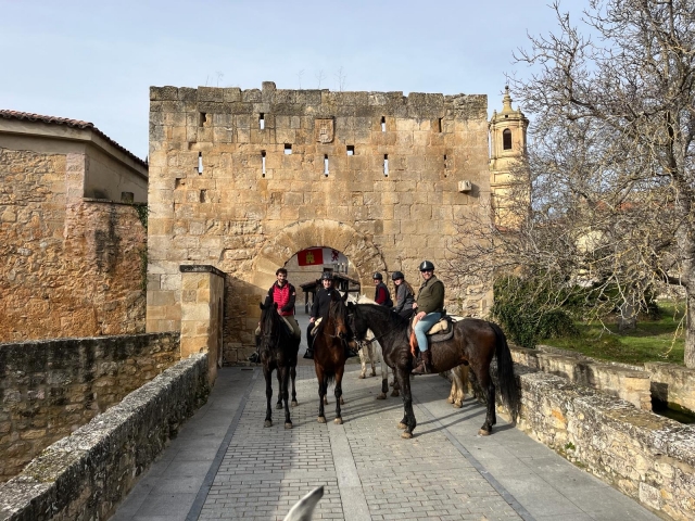 Cabalga a lomos de un caballo por los campos de Burgos