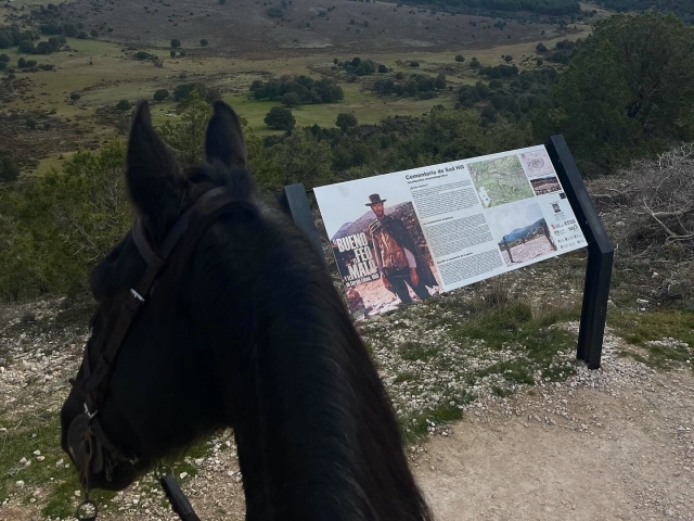 Experiencia ecuestre en los campos de Burgos