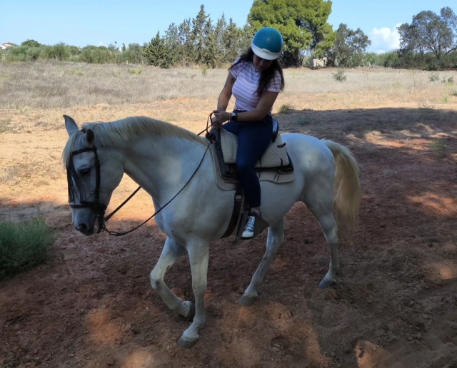 Cabalga a lomos de un caballo por los caminos de Doñana