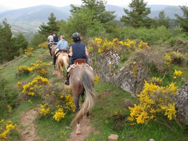  Rota pela Sierra de Demanda 