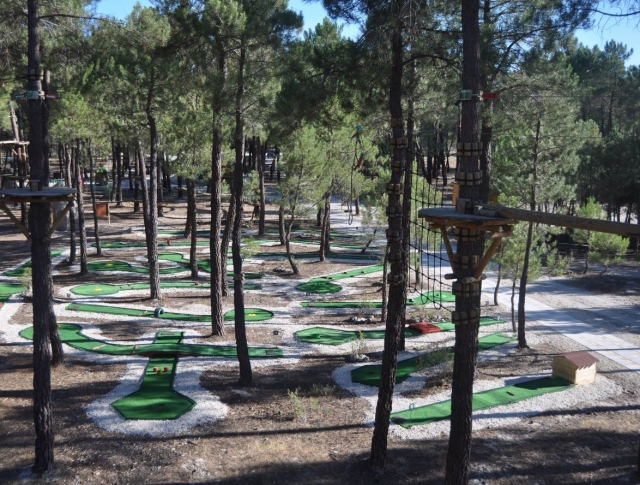  Piattaforme tra gli alberi
