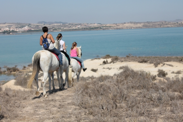 Disfrutando de las vistas sobre los caballos