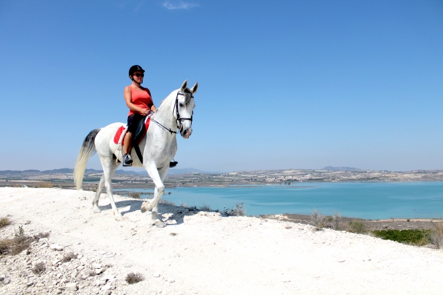 Precioso caballo blanco