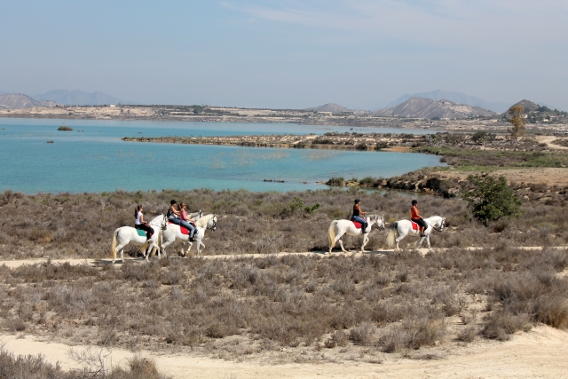 Experiencia a caballo en Torrevieja