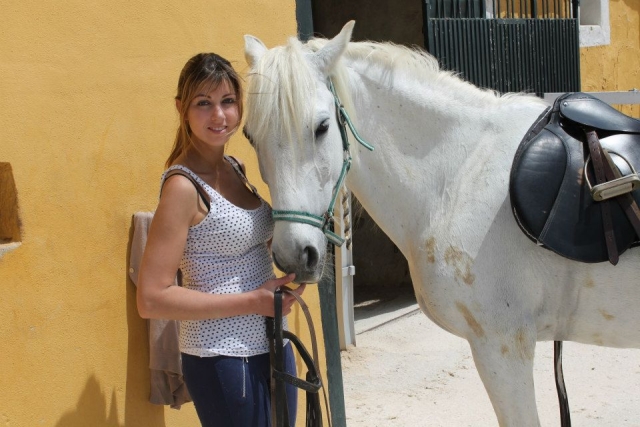 Familiarizate con el caballo