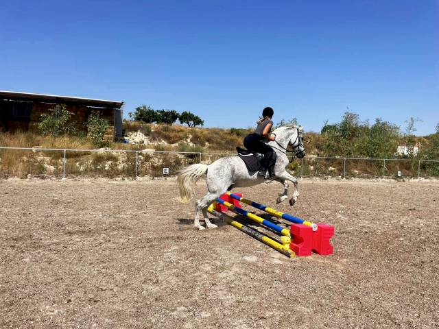  Superando os obstáculos 