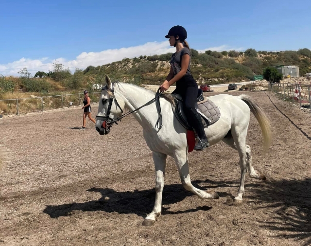  jogging com o cavalo 