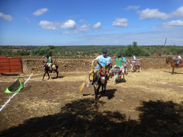  Partita di polo con gli asini 