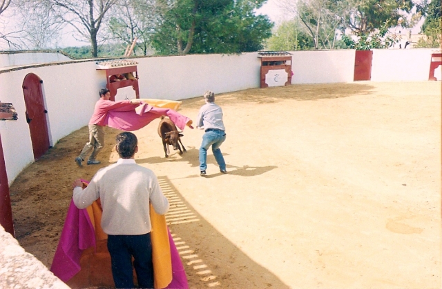 La corrida insieme 