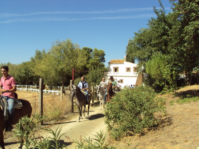  Passeggiata a cavallo 