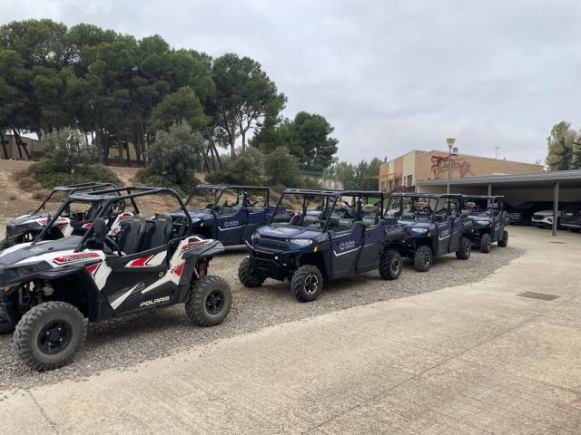  Unsere Buggy 