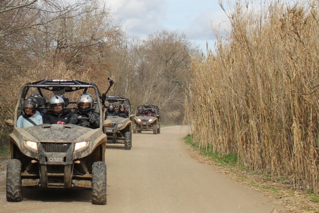  I nostri buggie flotta di Navarra 