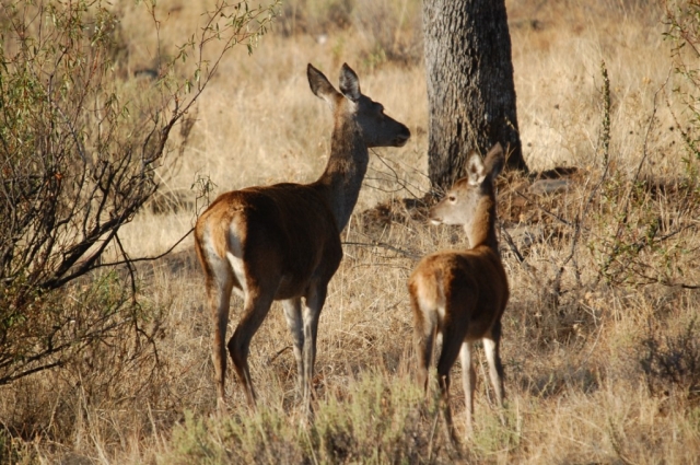  Get to know the fauna up close 