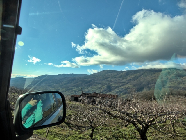  Views from the jeep 