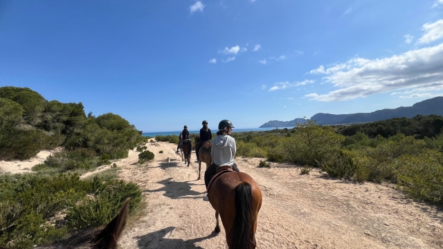 Mallorca a caballo
