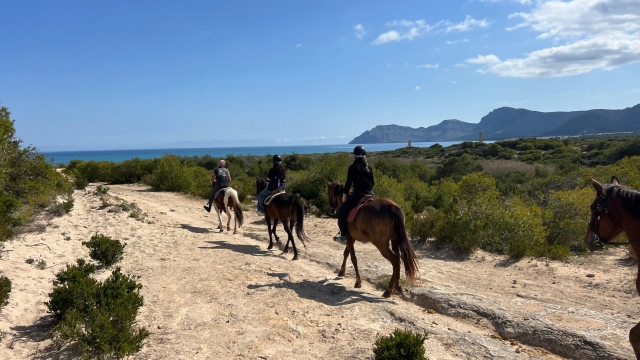 Paseos a caballo en Mallorca