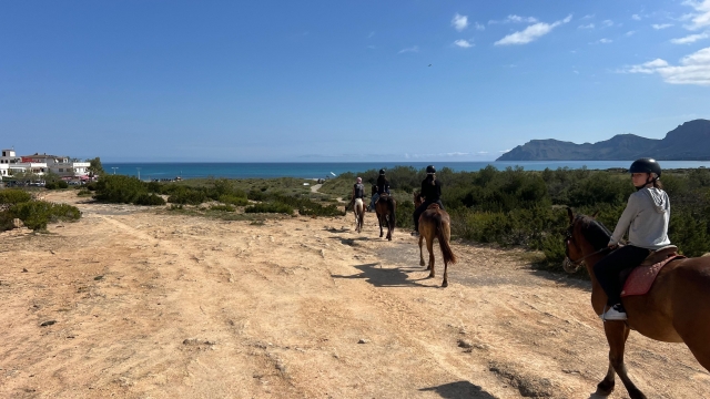 Ruta a caballo en Can Picafort