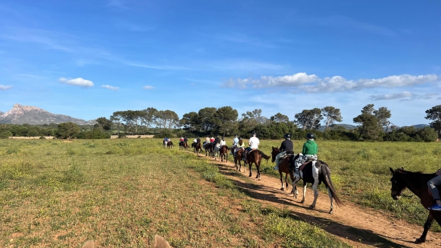 Subir a caballo en Mallorca