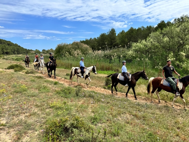 Paseo con los equinos