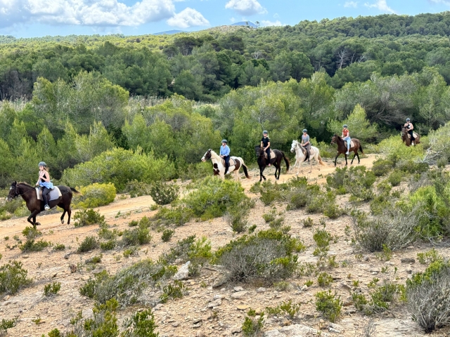 Horse route for dunas of Son Serra, 2h