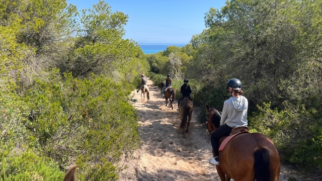 Durante la excursión