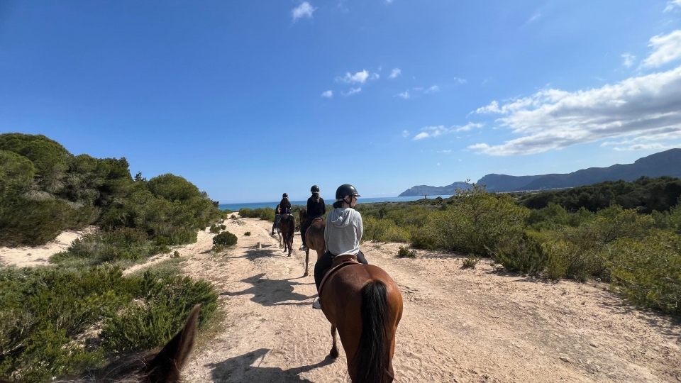 Mallorca a caballo