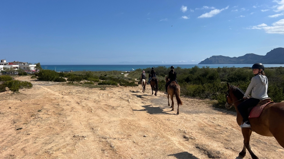 Cabalgamarra en Can Picafort