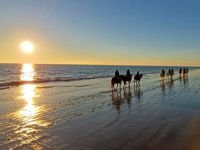  Passeggiata a cavallo lungo la spiaggia 