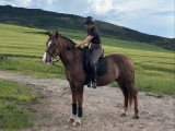 Percurso a cavalo sob o Monte Ezcaba, 90 minutos