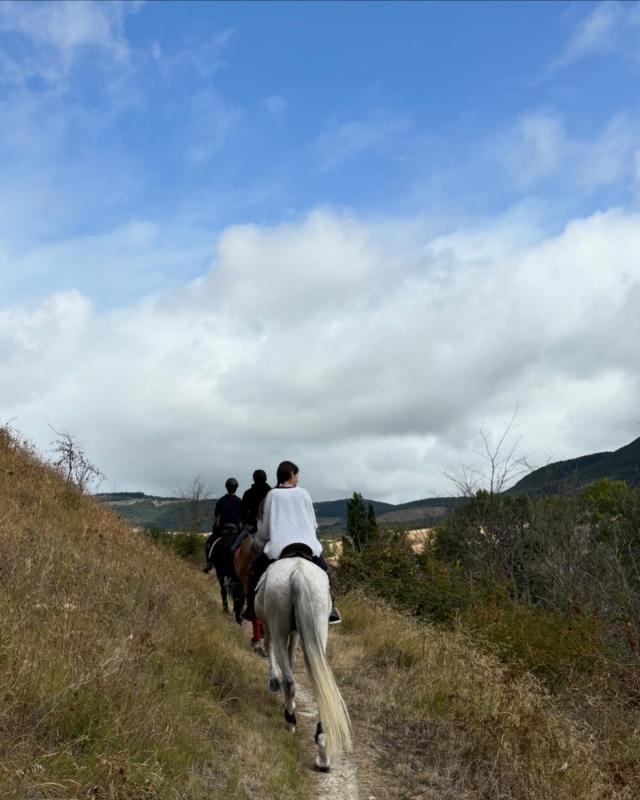  Erkunden Sie die Landschaft Navarreses zu Pferd 