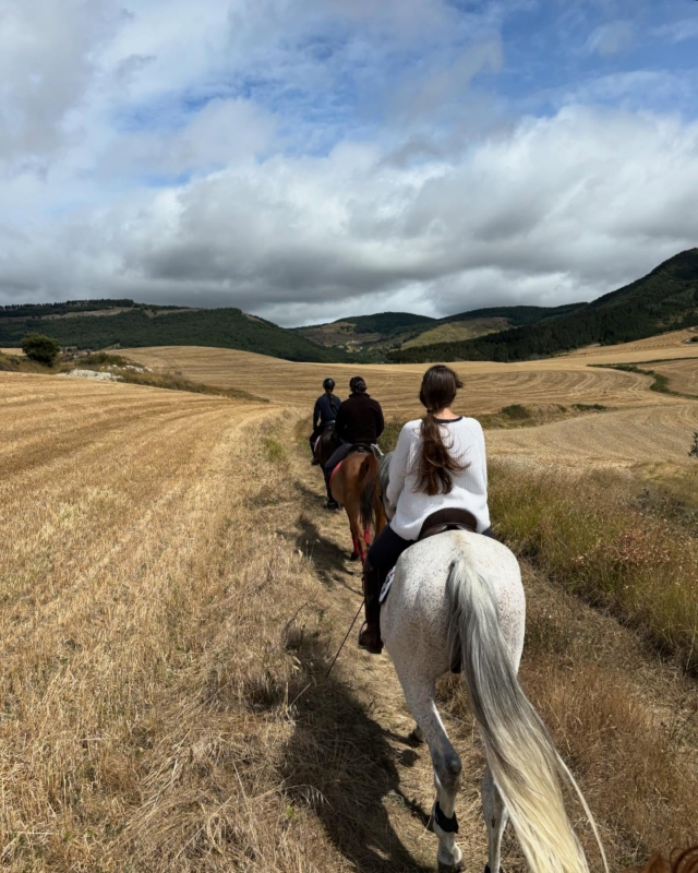  Reitroute durch Navarra