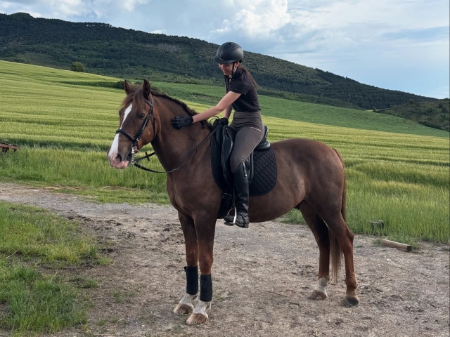 Itinerario a cavallo sotto il Monte Ezcaba, 90 minuti