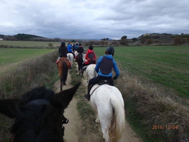  Une belle expérience à cheval