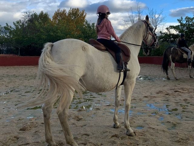 Paseos a caballo en Madrid