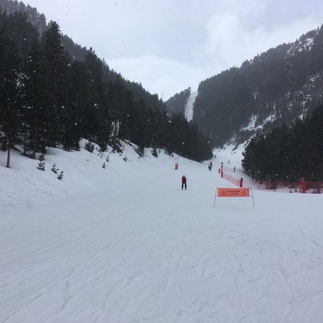 Clase de esquí de una hora en La Molina